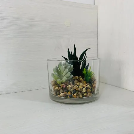 Excelente Apartamento Urani Con Terrasa